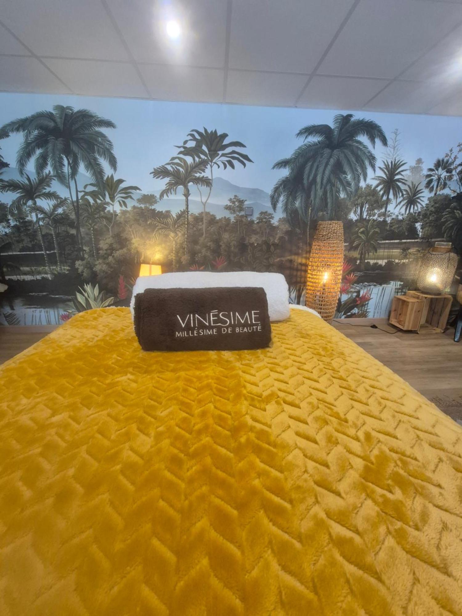 Pavillon Des Millesimes, Piscine & Spa Bed & Breakfast *